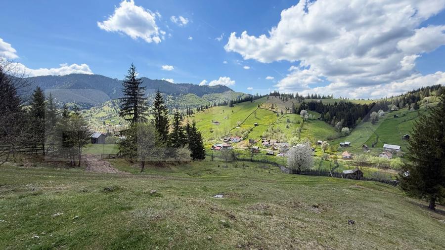 Teren intravilan si extravilan 23.000 mp, front 150 ml, Sadova - Bucovina
