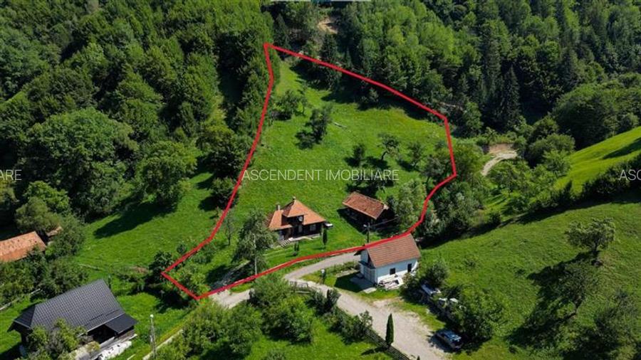 FILM! Proprietate autentica, Bran-Simon, 4.300 mp teren, casa traditionala + ane - 46