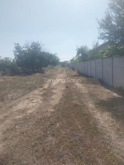 Drumul Targului -Domnesti -loturi de casa direct proprietar - 2