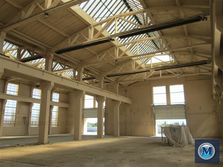 Spatiu industrial de inchiriat in Boldesti-Scaeni, zona Sud, 1948 mp #10186