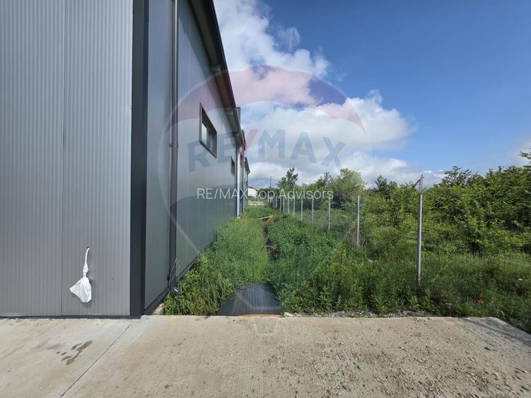 DE INCHIRIAT Hala industriala 596mp | Teren 2500mp | Buftea - 10