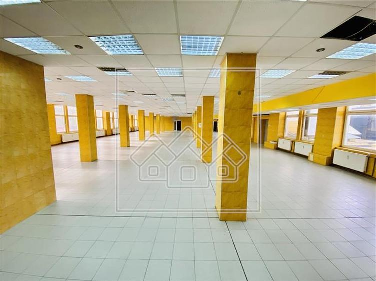 Spatiu industrial si de birouri in zona Terezian - finisaje moderne