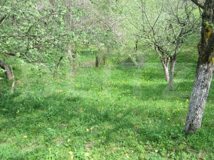 Teren de vânzare, 884 mp, zona Runcu
