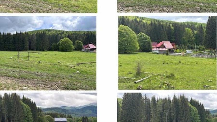 Teren intravilan - 5000 mp, Valea Doftanei