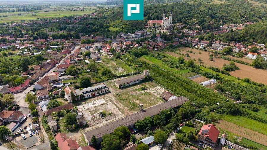 Hală spațioasă în Lipova oportunitate investiție - 9