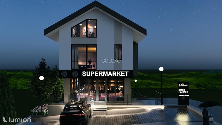 Spatiu Comercial 83 Mp | Gradina 125 Mp | Zona Pepinierii - 2