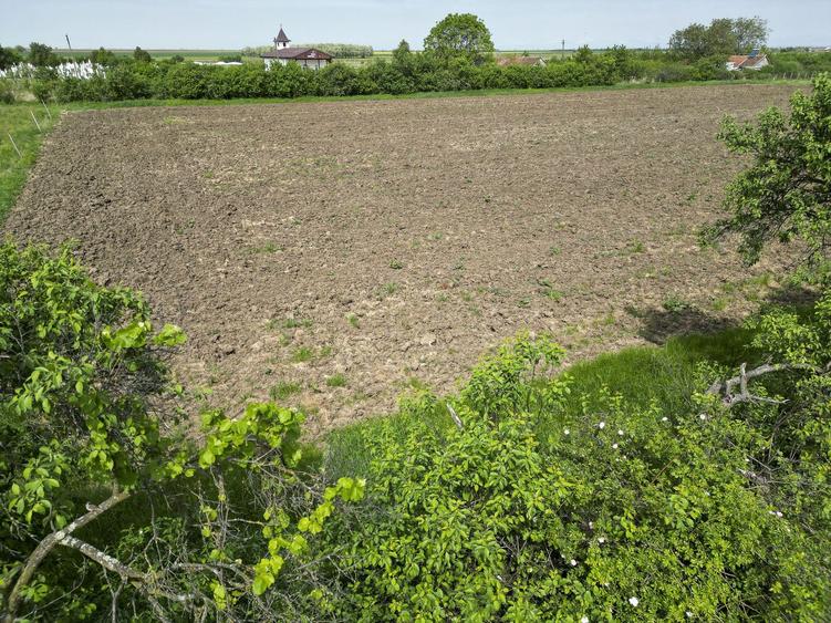 Teren Intravilan de 3,090 mp în Cuvin