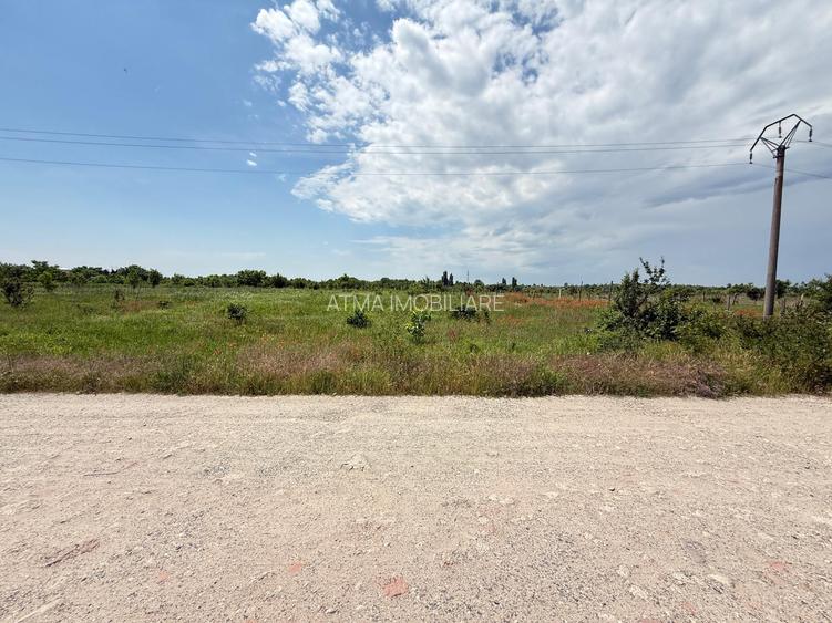 Teren Intravilan 3450 mp Sector 6 Drumul Săbăreni Investiție - 5