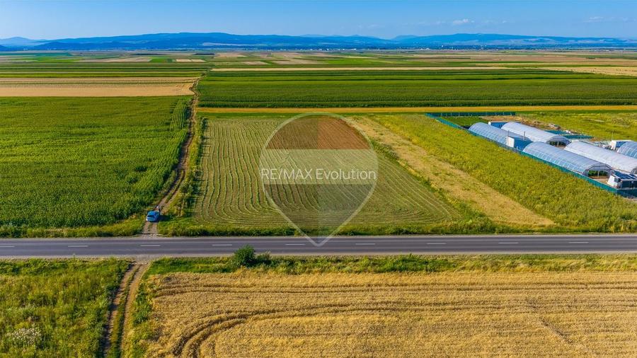 COMISION 0% | Teren intravilan 7.500 mp | Tarlungeni, Brasov - 4