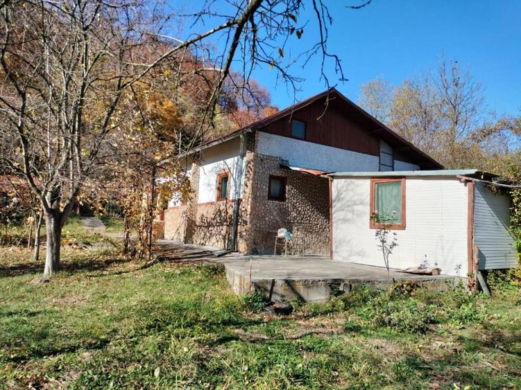 Iedera, Cricovul Dulce, casa de vanzare 90mp, teren 2450mp