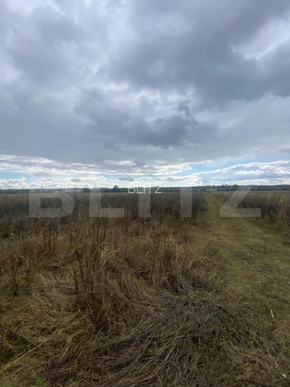 Teren extravilan, 2500 mp, zona Lucieni - 2
