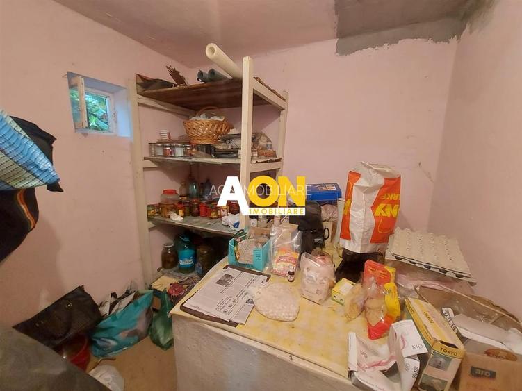 Casa Ciugud Toate Utilitatile cu Teren 3000MP - 12