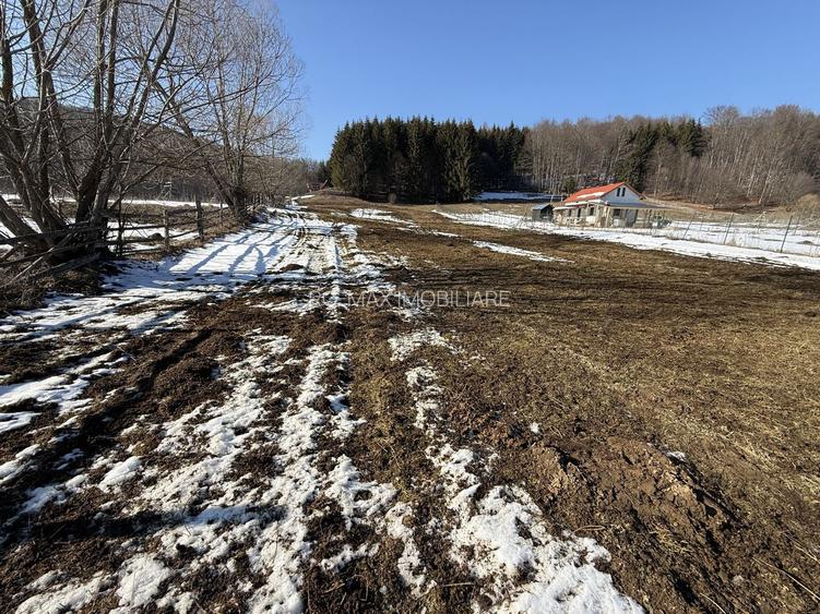 Teren intravilan 4521mp lângă pădure-valea Doftanei -Calea Brasovului - 6