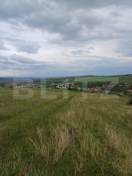 Teren extravilan 1248 mp in Copaceni! Oportunitate investitie! - 2