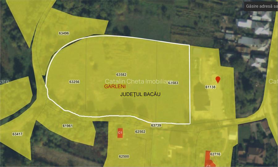 De vanzare teren intravilan 8,000 mp Garlenii de Sus / Bacau - 2