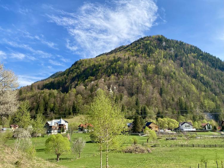 Teren panoramic însorit, utilități, panta mica si pădure, turism sau vacanță