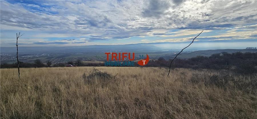 Teren extravilan în zona Pâclișa