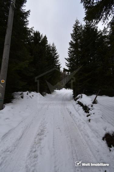 Cabana de vanzare in Muntele Baisorii aproape de partie