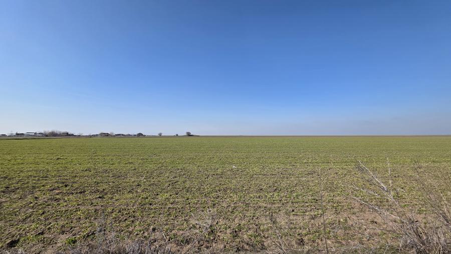 Teren intravilan 500 mp in Corbu, ideal pentru investitie