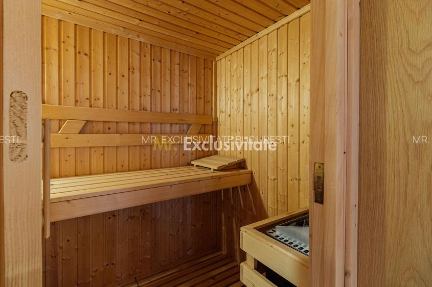 Domeniu privat 5.000 mp, cu reședință de 625 mp și piscină, Corbeanca - 13
