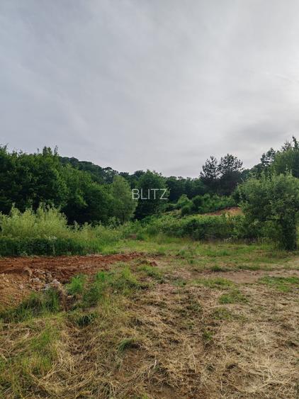 Teren intravilan, 900 mp, panoramă, zona Băița - Tăuții-Măgherăuș