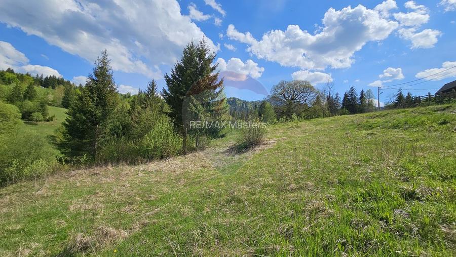 Teren 4048mp Campulung Moldovenesc, Strada Izvorul Alb, Suceava - 19
