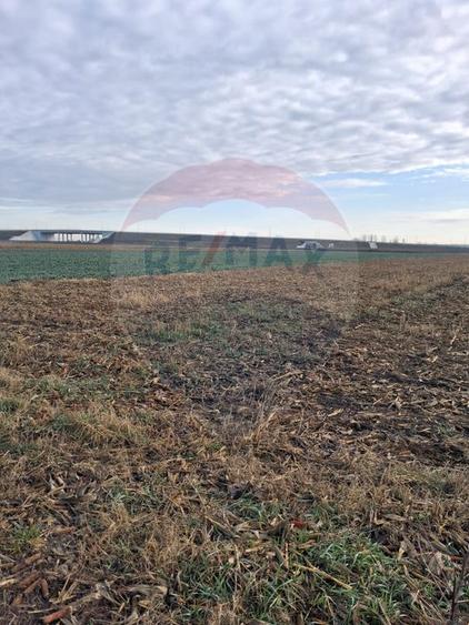 Teren intravilan 3400mp de vânzare la Sântion