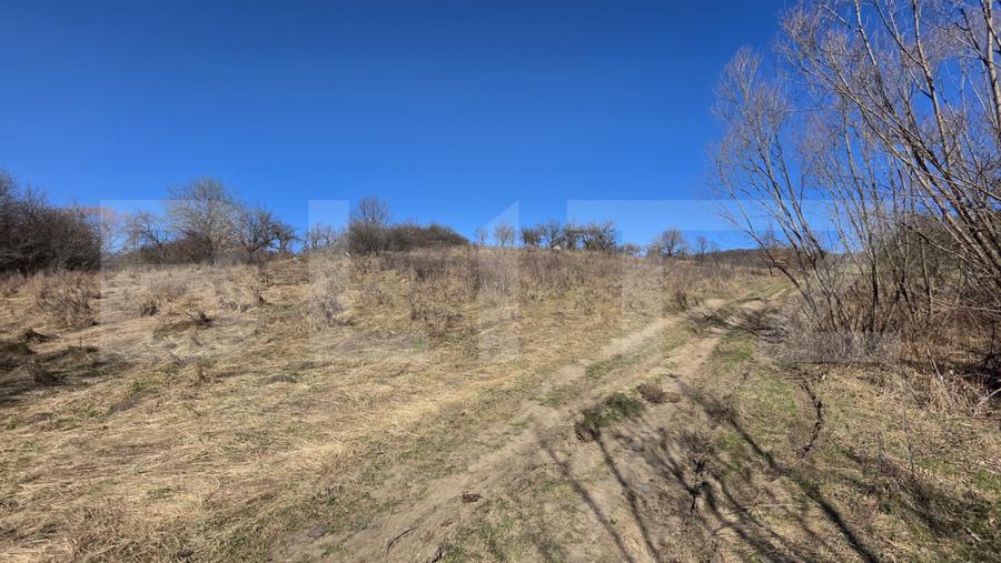 Teren de vanzare de 8,567MP in zona: Tarpiului