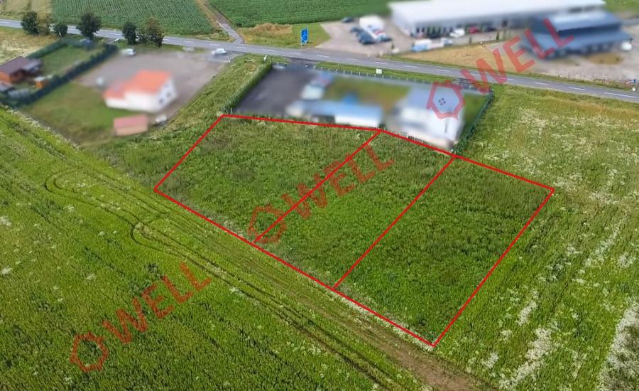 Terenuri intravilane de vânzare în Chilieni!