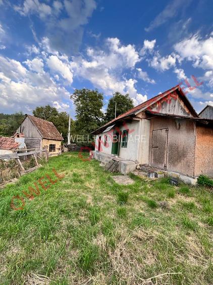 De vânzare casă în Dobolii de sus! - 10