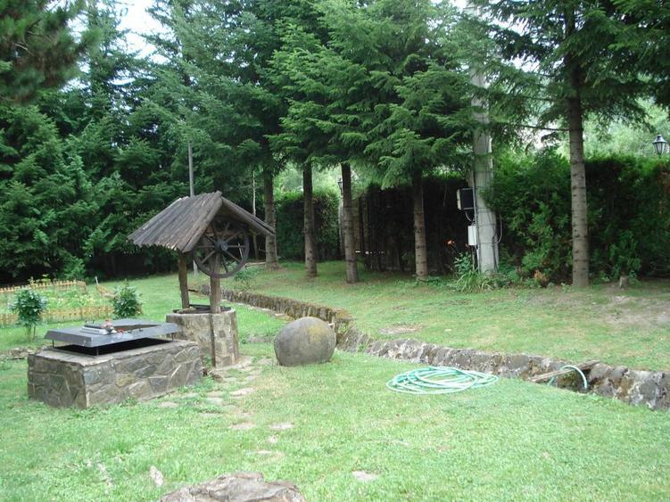 Campina Valea Doftanei Sotrile Paltinu