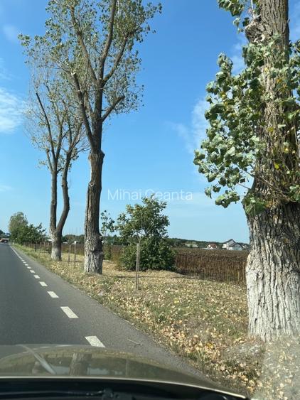 Vanzare teren Buftea | Strada Milano | Intravilan - 3