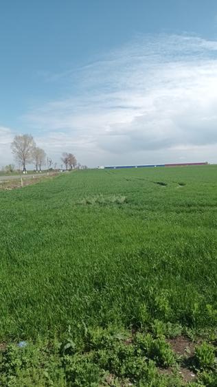 DN 2, stradal, Șindrilița, 2500/75, bun benzinarie, hala, showroom, etc, 25 e/mp