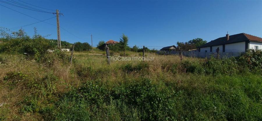 Teren  8 227 mp + Casa demolabila de vanzare in Filiasi -  Fratostita Dolj - 4