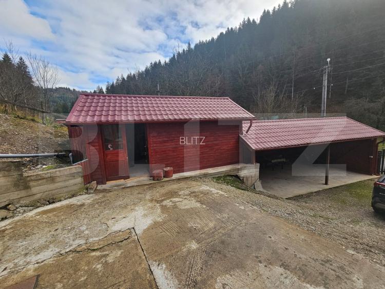Casa cu 6 camere, Liniște, Natură și Spațiu, Vadul Motilor - 8