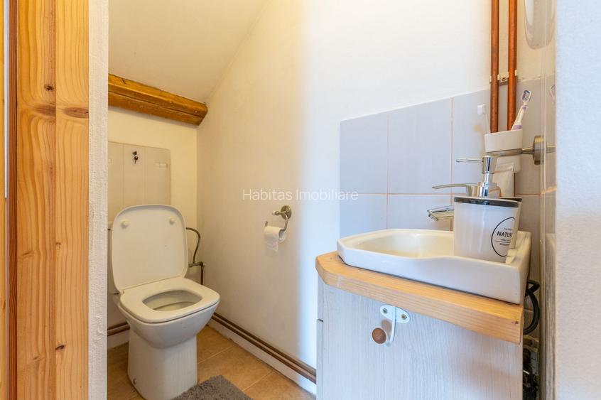 Vilă 4 familii | Apartament + mansardă | Curte 98 mp - 33