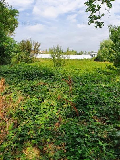 PARADISUL VERDE- teren in suprafata de 1 326 mp,. utilitati