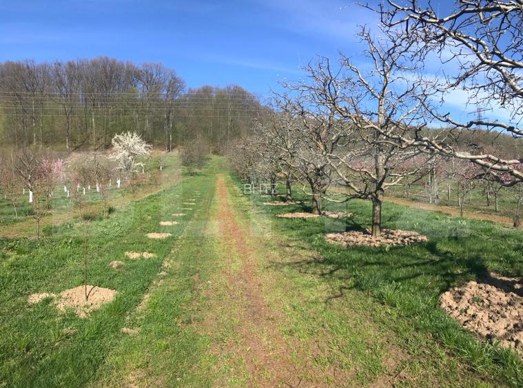 Teren mixt -construibil (intravilan) + livadă matură (Extravilan) – La DN 72A - 5