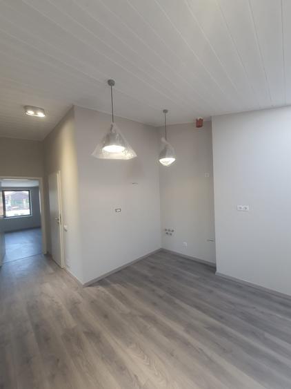 Domenii, casa D+P+1+M la prima închiriere