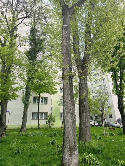 Apartament 3 Camere, Fabrica de Gheață, Colentina - 15