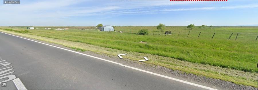 Vindem 10 Ha teren,fosta livadă de afine,Sintea Mare,Arad Oportunitate Unica