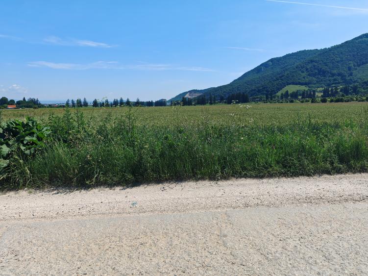 Teren industrial CRISTIAN - in spate la Ina Schaeffler, vizavi de Agricola