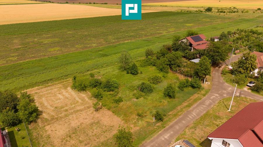 Teren intravilan de 602mp în Cicir, Vladimirescu