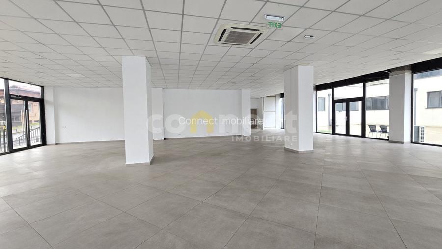 Spațiu comercial în zona Dambul Rotund I Taietura Turcului - 8