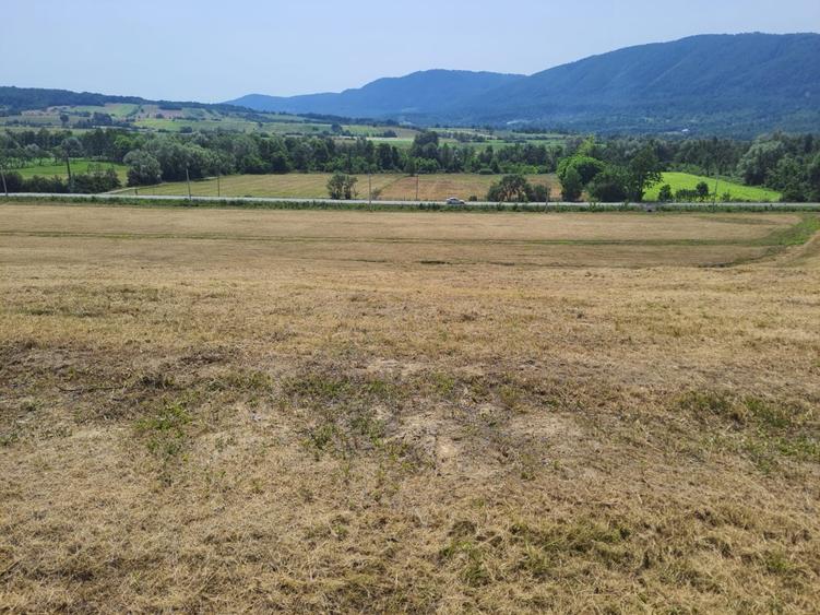 Teren intra si extravilan in Vad, Copalnic-Mănăștur, Maramures