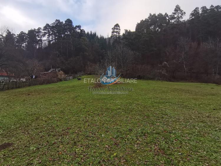 Teren Straja – Pangarati 3560 m, zona de Pensiune - 12