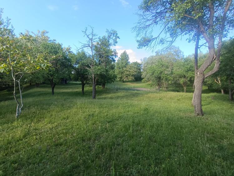 Casa / Proprietate deosebită cu 8142 MP teren | Oarda |