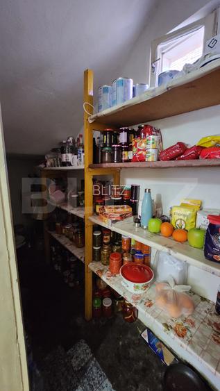 Casa cu 4 camere, 170 mp, Santana de Mures - 16
