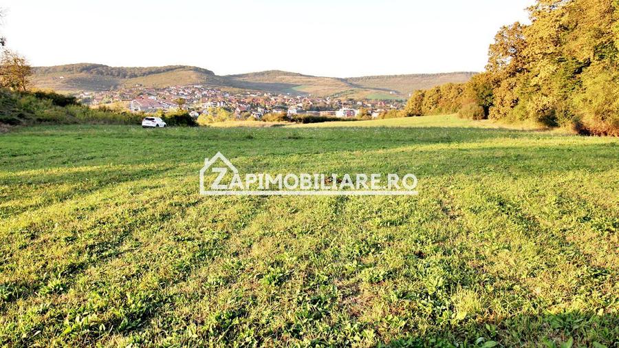 De vanzare 2 terenuri de 29.500 mp si 1.400 mp.29 euro mp