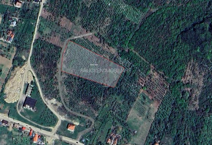 Teren intravilan de vanzare – 9.091 mp | Front 77 ml | Acces din Gh. Doja - 4
